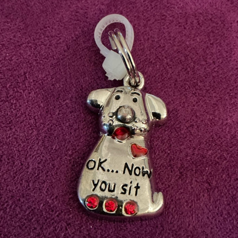 GANZ Pet Collar Charm Tag “OKAY….NOW YOU SIT”